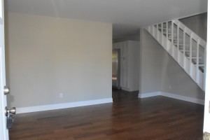 DSC 0603